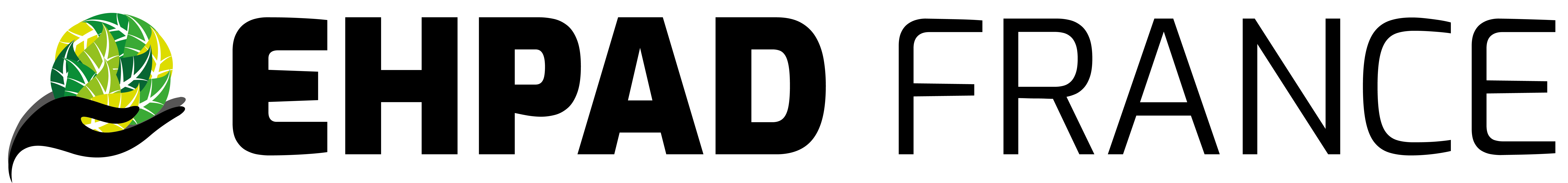 Ehpad france